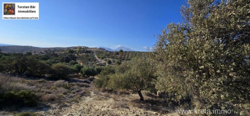 Kalamaki Kreta, Kalamaki Grundstück Meerblick und Blick auf die Palastanlagen von Phaistos Grundstück kaufen